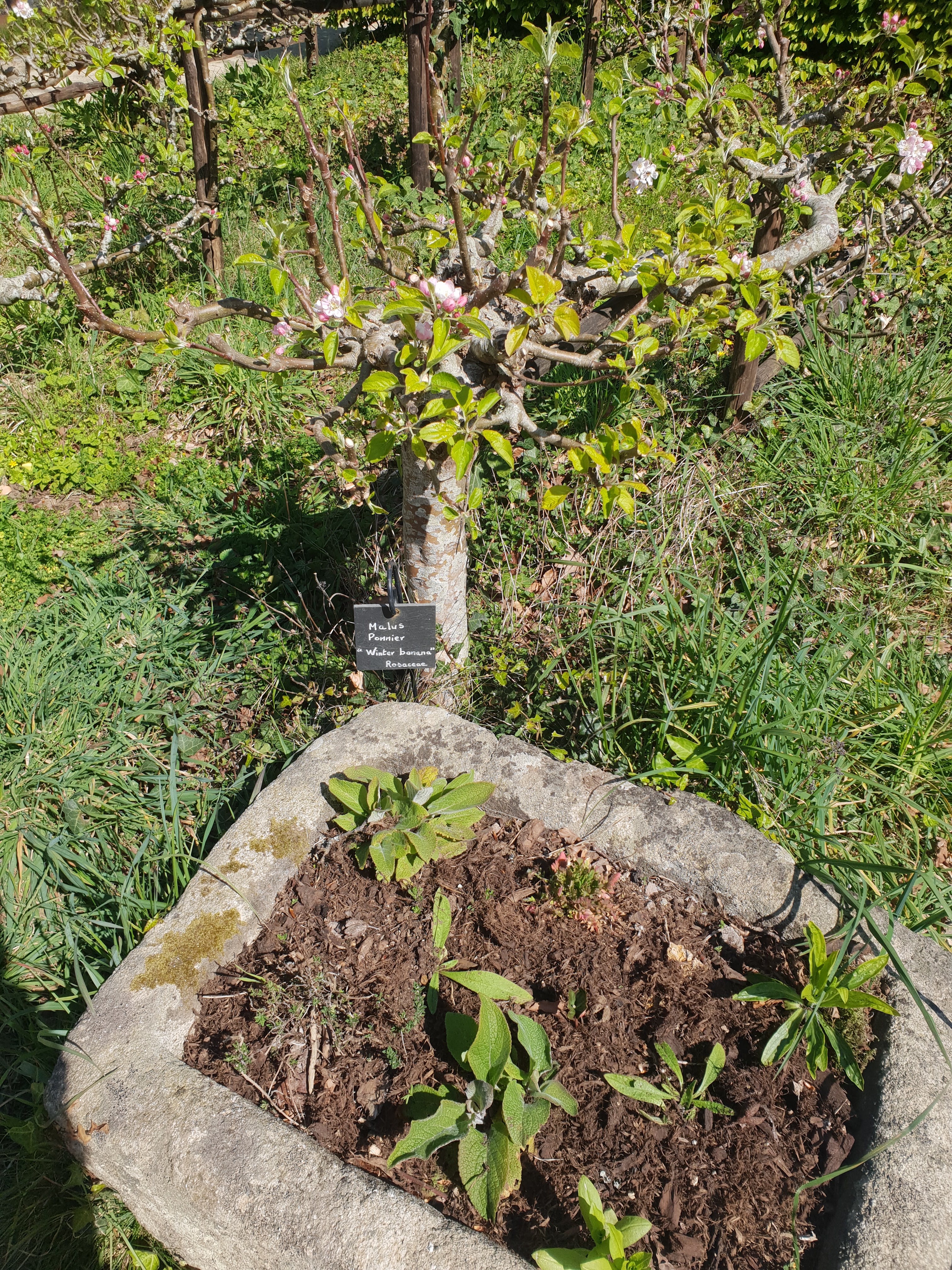 Photo n° 16 de l'avis de Bibiche.a fait le 19/03/2021 à 18:22