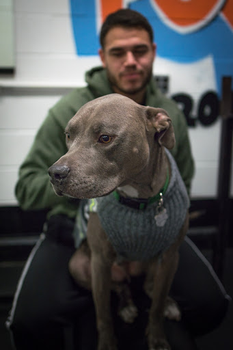 Gym «Iron Valley Barbell», reviews and photos, 5339 W 86th St, Indianapolis, IN 46268, USA