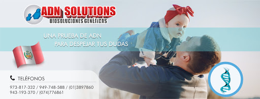 ADN Solutions - Piura