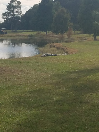 Golf Course «Willowbrook Golf Course», reviews and photos, 4200 FL-544, Winter Haven, FL 33881, USA