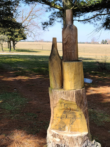 Vineyard «Crow Farm», reviews and photos, 12441 Vansant Corner Rd, Kennedyville, MD 21645, USA