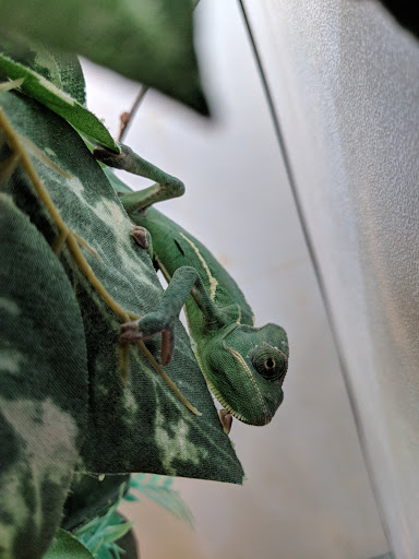 Pet Supply Store «Eden Garden and Pets», reviews and photos, 1439 S 70th St, West Allis, WI 53214, USA