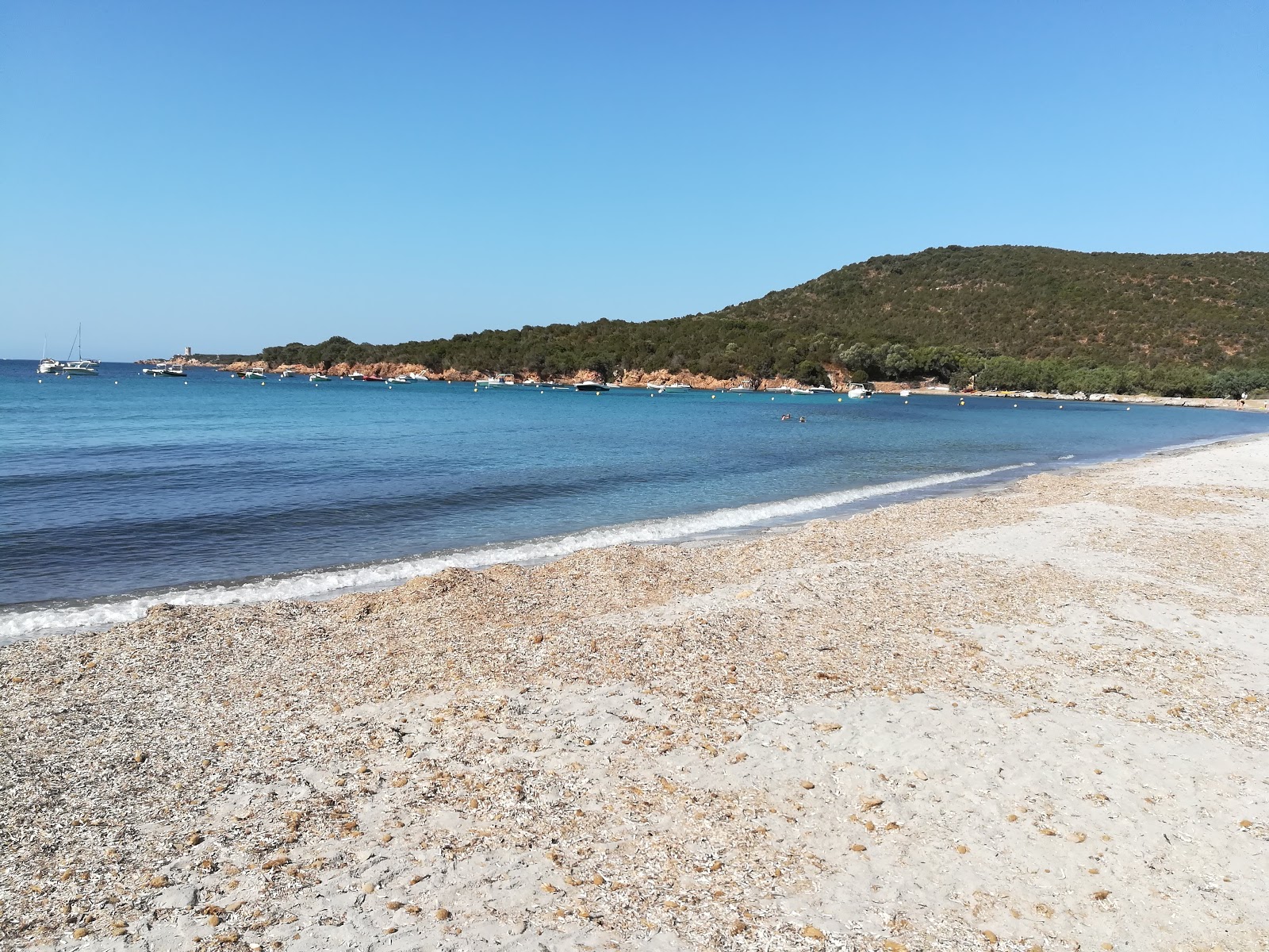 Photo de Plage de Furnellu avec l'eau cristalline de surface