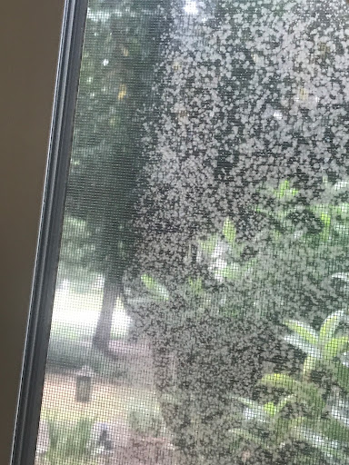 Construction Company «Taylor Construction», reviews and photos