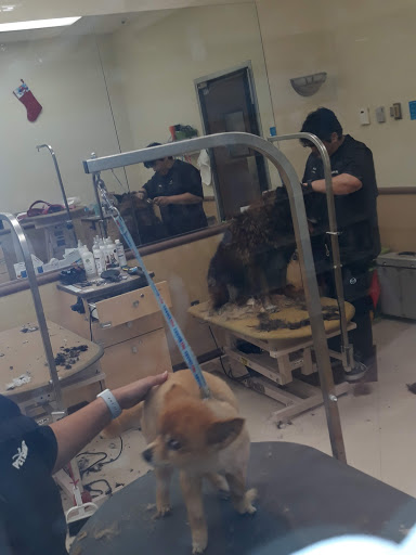 Pet Supply Store «PetSmart», reviews and photos, 5435 W TX-1604 Loop N, San Antonio, TX 78253, USA