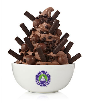 Frozen Yogurt Shop «Yogurt Mountain», reviews and photos, 1801 W Tennessee St #2, Tallahassee, FL 32304, USA