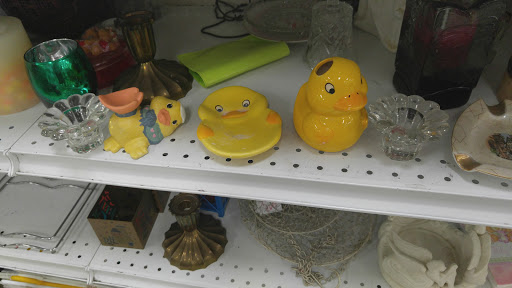 Thrift Store «Sunshine Thrift Store», reviews and photos, 4304 S Dale Mabry Hwy, Tampa, FL 33611, USA