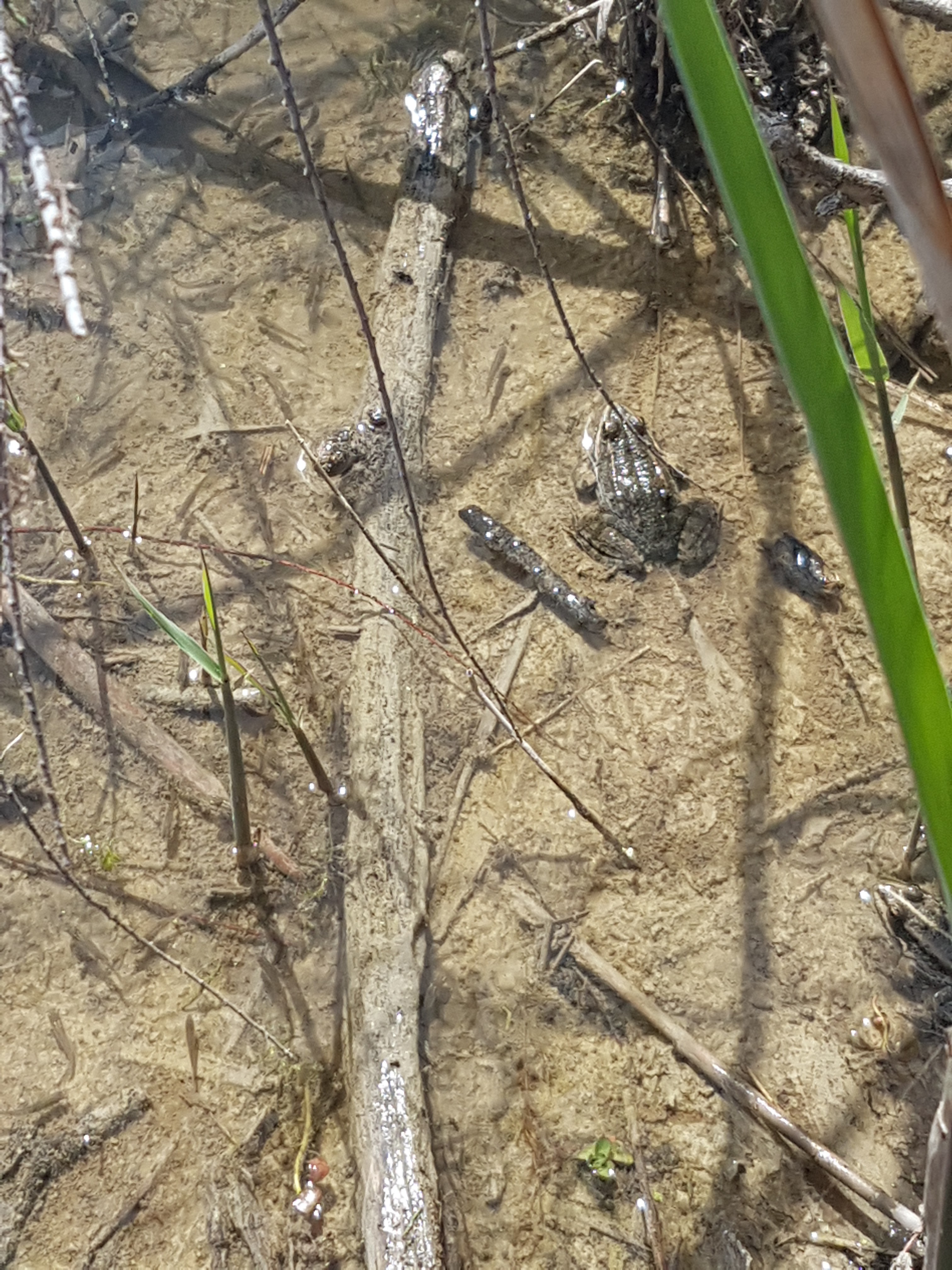 Photo n° 3 de l'avis de Aure.y fait le 09/04/2022 à 14:58