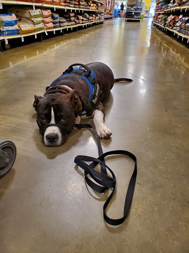 Pet Supply Store «PetSmart», reviews and photos, 380 S State Rd 434, Altamonte Springs, FL 32714, USA