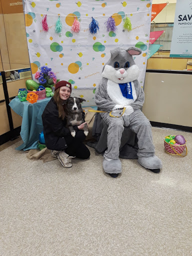 Pet Supply Store «PetSmart», reviews and photos, 316 NE 78th St, Vancouver, WA 98665, USA