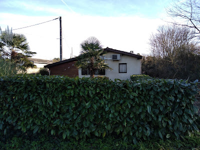 RICAUD à Sauternes