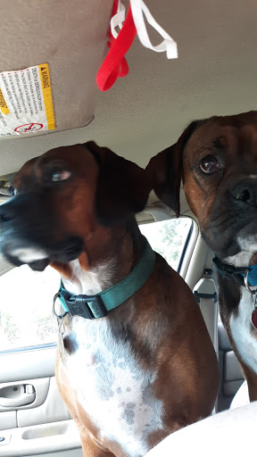 Pet Supply Store «Petsense Searcy», reviews and photos, 3450 E Race Ave, Searcy, AR 72143, USA