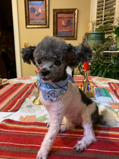 3002 Rosewood Dr, Columbia, SC 29205, USA