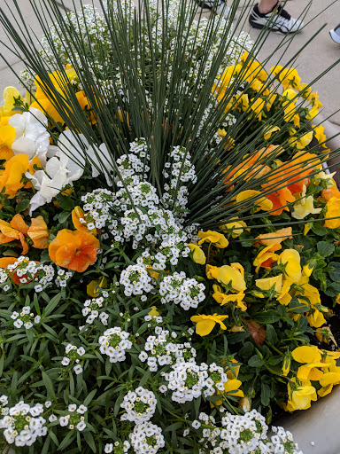 Museum «National Underground Railroad Freedom Center», reviews and photos, 50 E Freedom Way, Cincinnati, OH 45202, USA