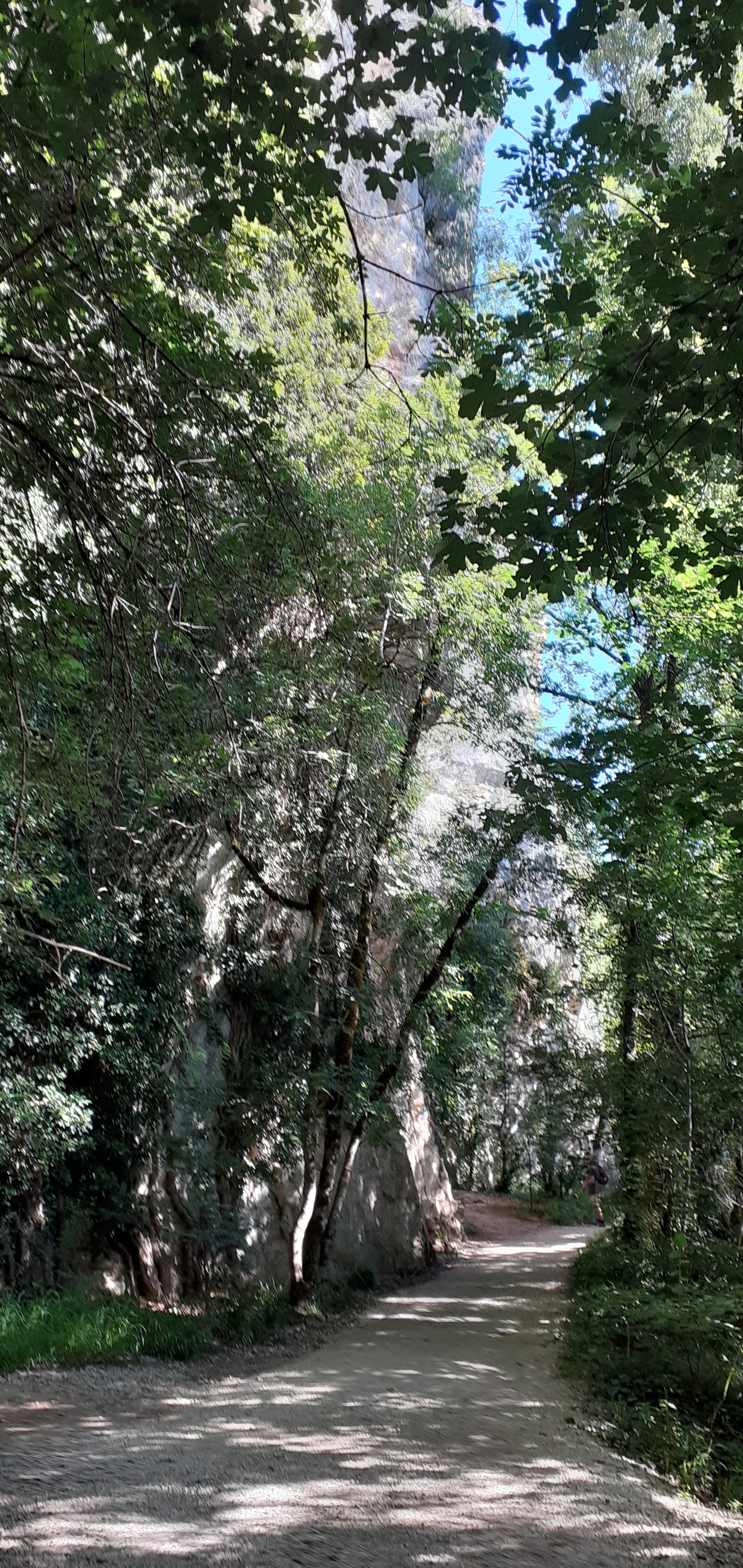 Photo n° 4 de l'avis de Sébastien.e fait le 03/08/2021 à 20:09