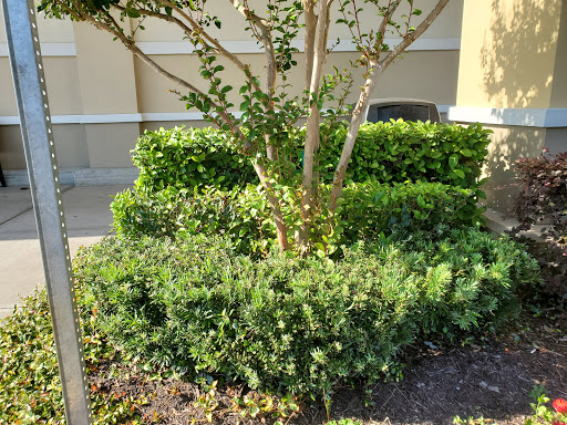 Supermarket «Publix Super Market Plaza Inverness», reviews and photos, 1012 W Main St, Inverness, FL 34450, USA