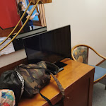 Photo n°34 de l'avis de Robert.h fait le 06/08/2023 à 06:07 sur le  Hotel Cangrande di Soave à Soave