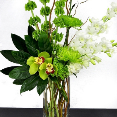 Florist «Phoenix Flower Shops», reviews and photos, 5018 W Northern Ave, Glendale, AZ 85302, USA