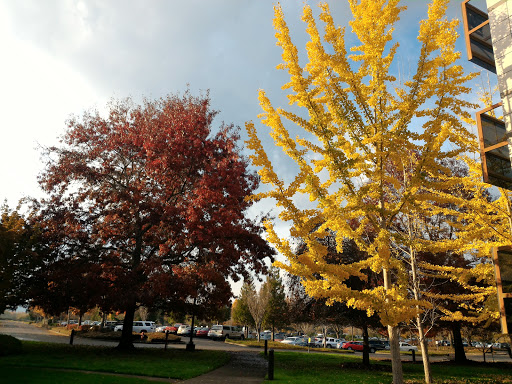 Software Company «Hewlett-Packard Company», reviews and photos, 1000 NE Circle Blvd, Corvallis, OR 97330, USA