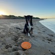 Mordialloc Beach Dog Off Leash Area