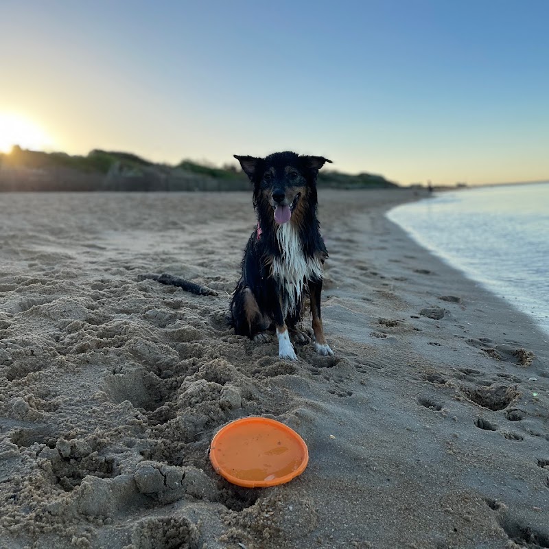 Mordialloc Beach Dog Off Leash Area