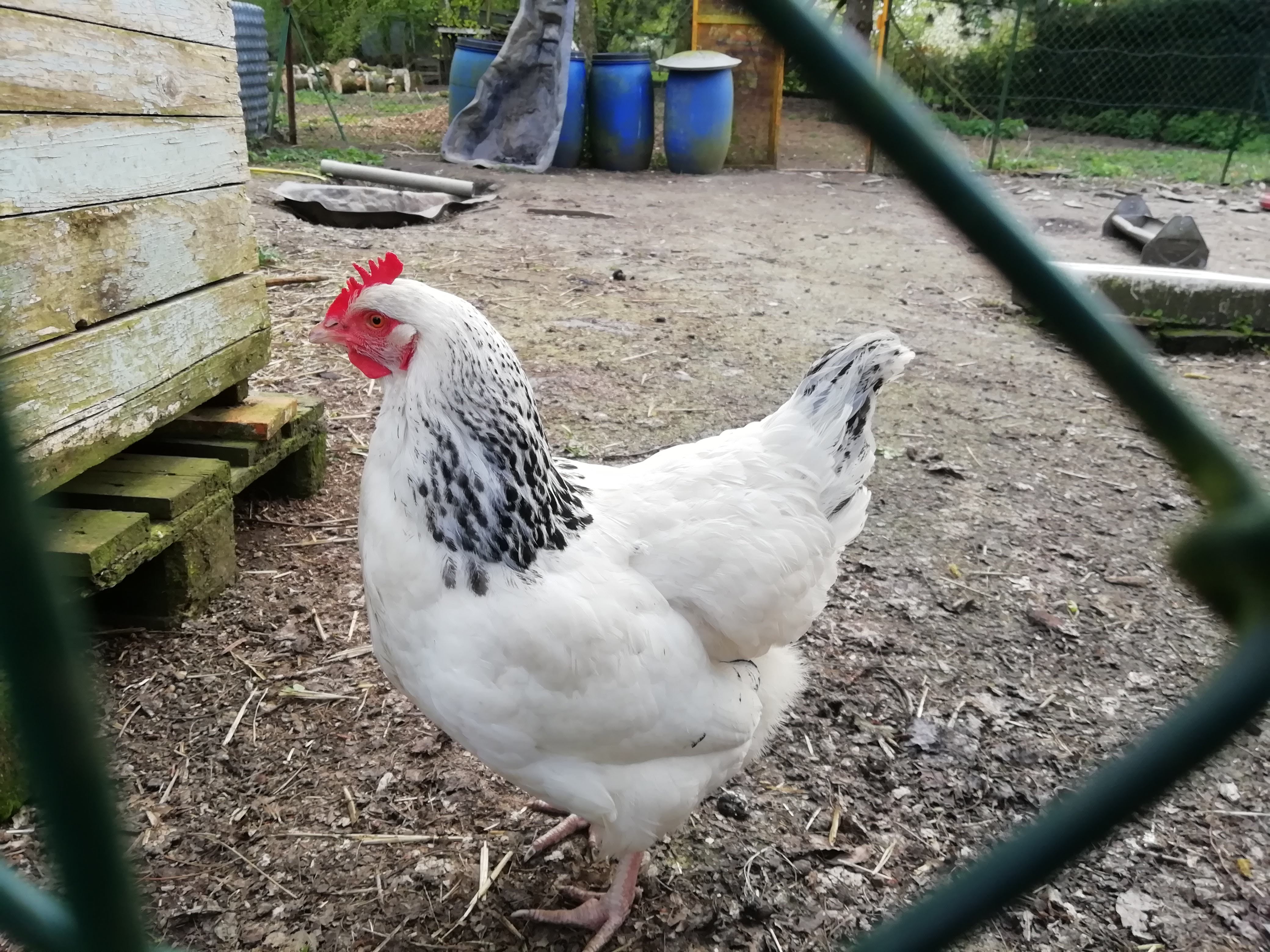 Photo n° 3 de l'avis de John.e fait le 04/05/2019 à 19:42