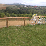 Photo n°1 de l'avis de Arianna.a fait le 13/10/2021 à 07:06 sur le  Agriturismo Toskana à Lastra a Signa