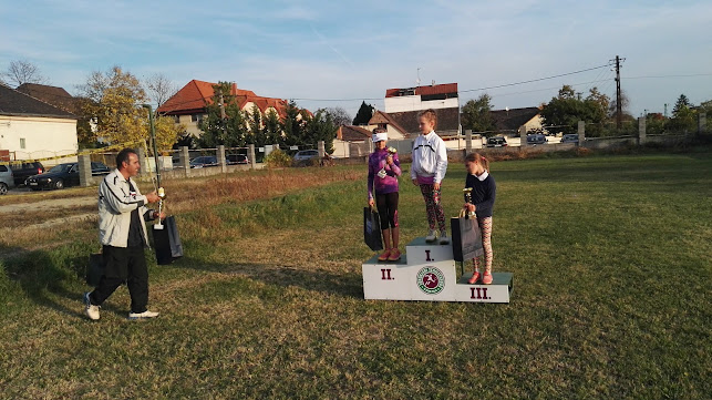 http://tenisz-palya.hu/hu/teniszpalya-katalogus/ad/teniszcentrum,3/soroksari-tenisztanoda,291