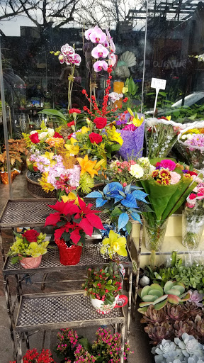 Florist «Ditmars Flower Shop», reviews and photos, 2911 Ditmars Blvd, Queens, NY 11105, USA