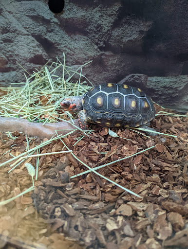 Pet Supply Store «Petco Animal Supplies», reviews and photos, 11331 W Broad St #151, Glen Allen, VA 23060, USA