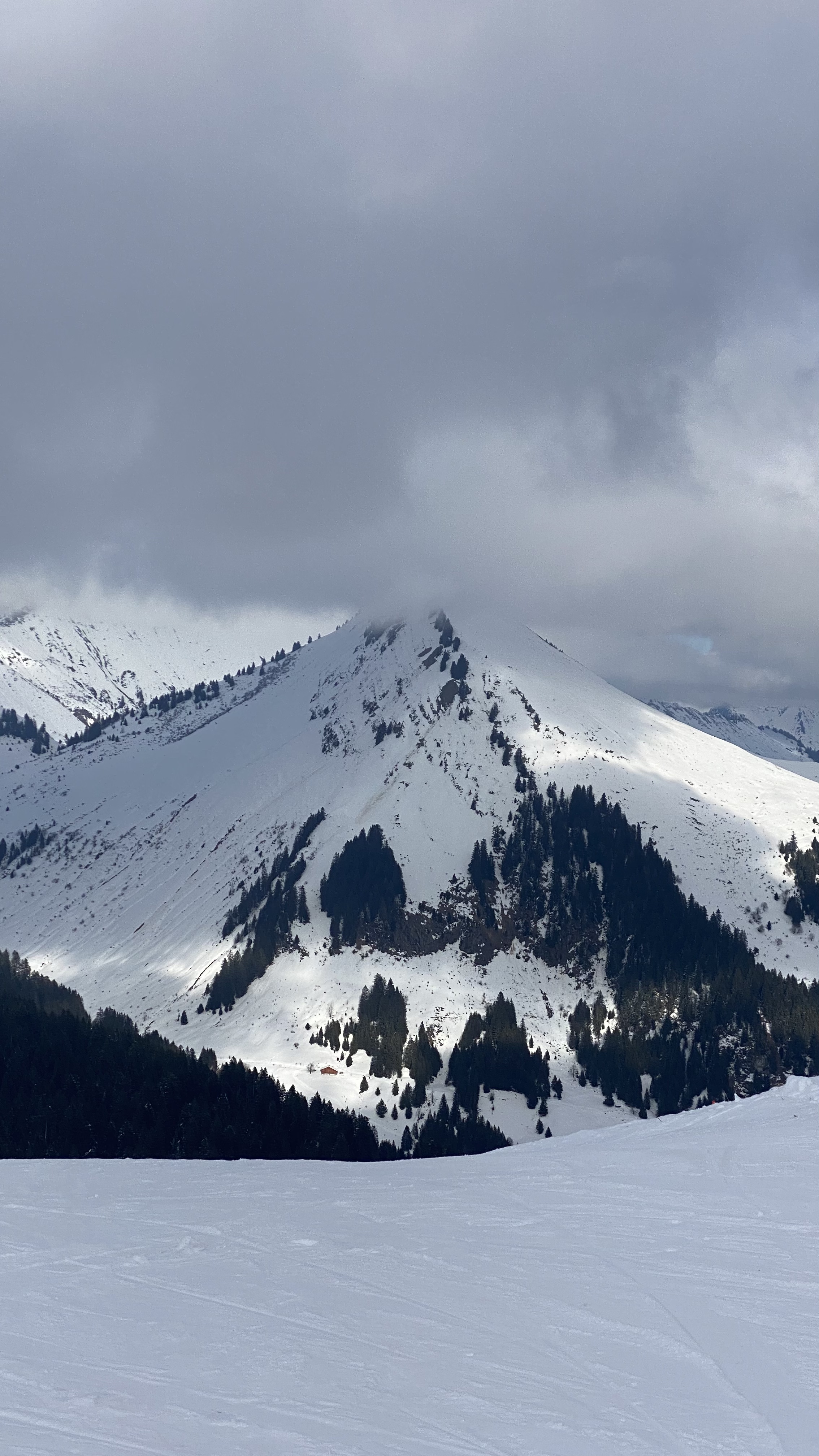 Photo n° 2 de l'avis de Sofy.a fait le 07/02/2023 à 14:40