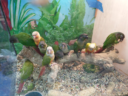 Pet Supply Store «Pet Care Inc.», reviews and photos, 2500 East Cesar E Chavez Avenue, Los Angeles, CA 90033, USA