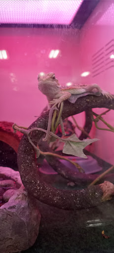 Pet Supply Store «Pet Supplies Plus», reviews and photos, 1094 N Wisner St, Jackson, MI 49202, USA