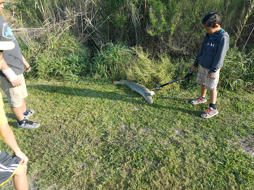 Park «Arroyo Park», reviews and photos, 1101 E New Hampshire St, Harlingen, TX 78550, USA