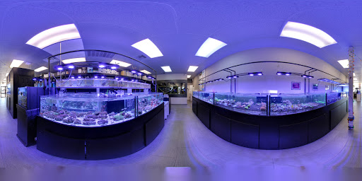 Tropical Fish Store «OceanLife Aquariums», reviews and photos, 5475 West Loop S, Houston, TX 77081, USA