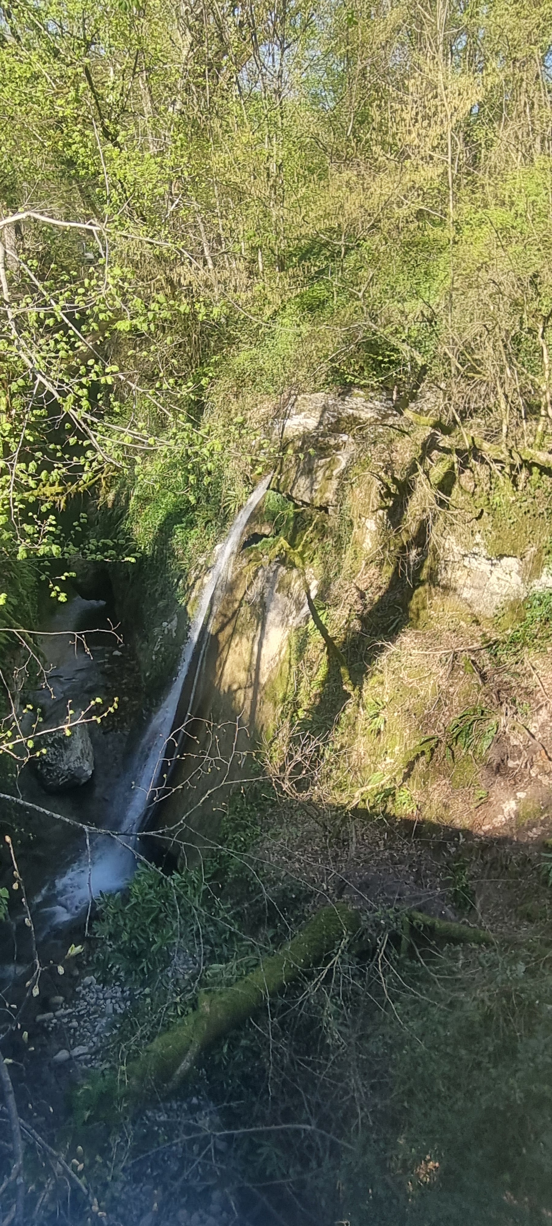 Photo n° 3 de l'avis de ma.i fait le 09/04/2023 à 18:54