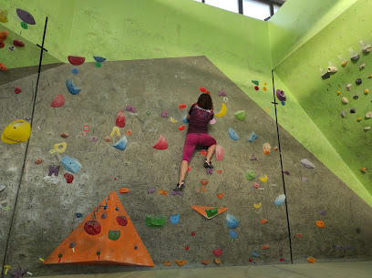 Macaco Climbing Gym - Via Gabriele Villani, 14, 29122 Piacenza PC, Italy