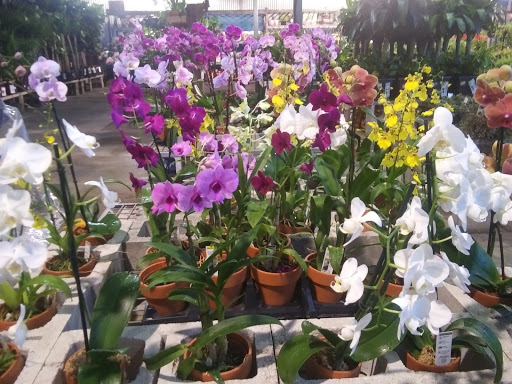 Home Improvement Store «The Home Depot», reviews and photos, 8445 Little Rd, New Port Richey, FL 34654, USA