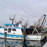 Photo n°7 de l'avis de Mela.e fait le 09/01/2018 à 12:20 sur le  Cayo Blanco à Chioggia