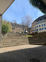 Freie Katholische Schulen Zürich Wiedikon