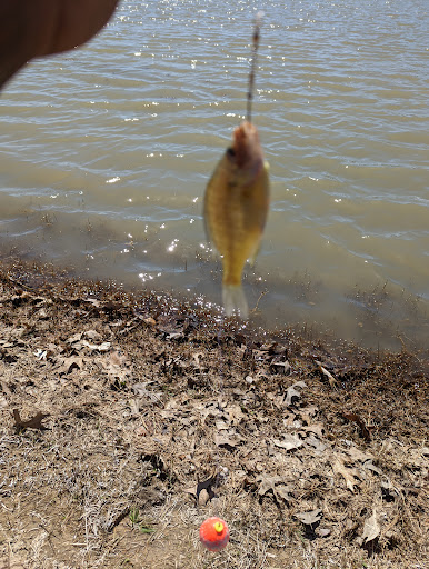 Park «Valley Ridge Park», reviews and photos, 2850 Park Ridge Dr, Cedar Hill, TX 75104, USA