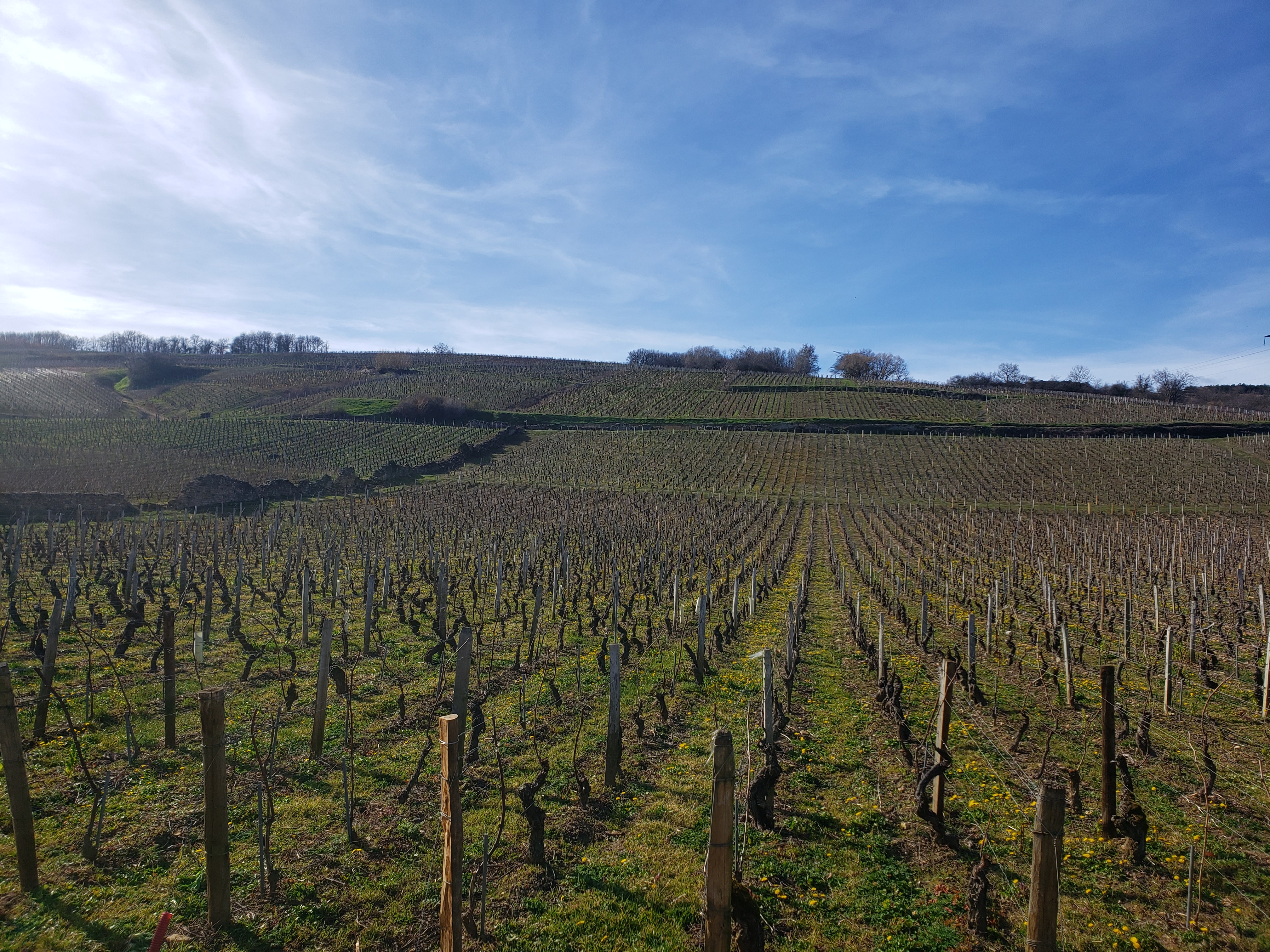 Photo n° 4 de l'avis de Glenn. fait le 22/02/2020 à 07:53