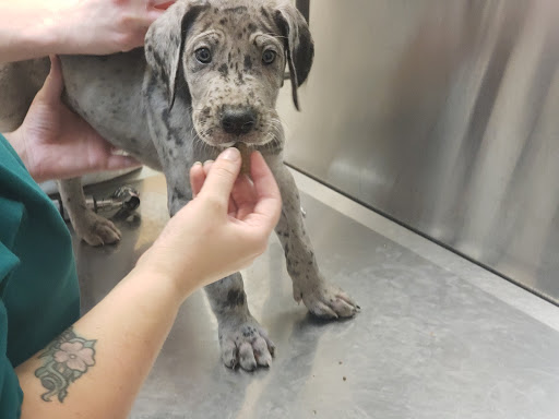 Shopping Mall «Greenbrier Shopping Center», reviews and photos, 225 Brierhill Dr, Bel Air, MD 21015, USA