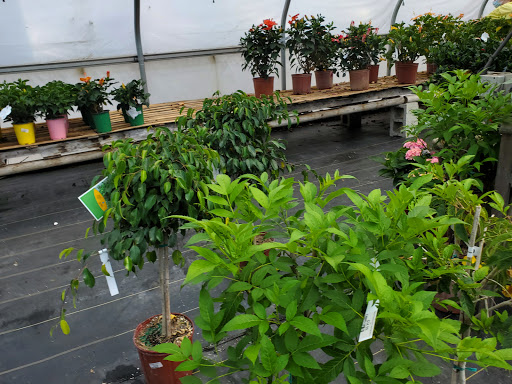 Garden Center «Beachside Gardens & Gifts», reviews and photos, 3725 US-12, Michigan City, IN 46360, USA