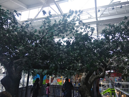 Science Museum «Science City», reviews and photos, 30 W Pershing Rd, Kansas City, MO 64108, USA