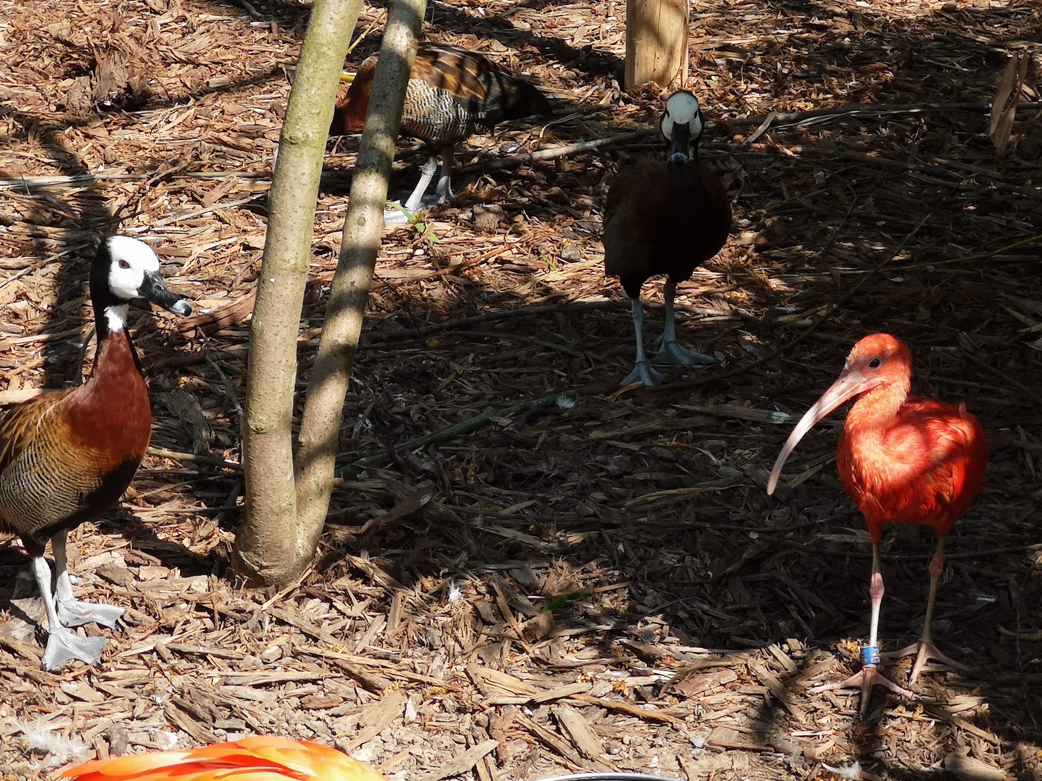 Photo n° 38 de l'avis de Bryan.r fait le 24/04/2018 à 19:19