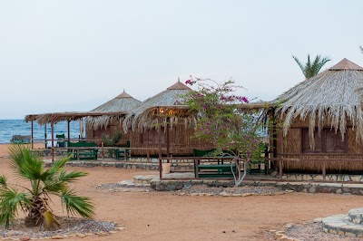 Photos of Castle Beach Camp