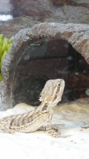 Pet Supply Store «Petco Animal Supplies», reviews and photos, 6805 Mills Civic Pkwy #140, West Des Moines, IA 50266, USA