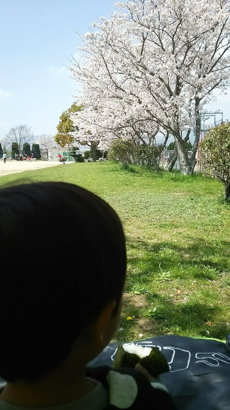 行事さくら公園 福岡県行橋市行事 公園 公園 グルコミ