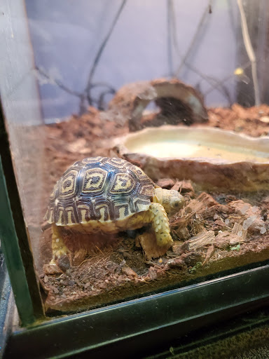 Pet Store «A Family Pet Center», reviews and photos, 6230 N Lockwood Ridge Rd, Sarasota, FL 34243, USA